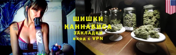 прущие грибы Мегион