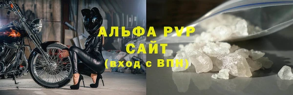 гидра Абаза