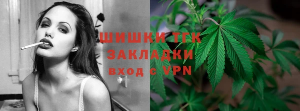 гидра Абаза
