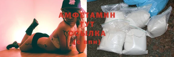 индика Абинск