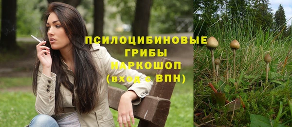 гидра Абаза