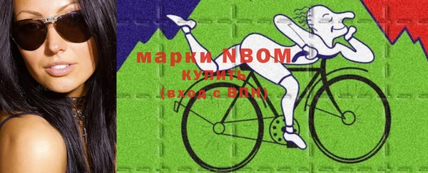 гидра Абаза