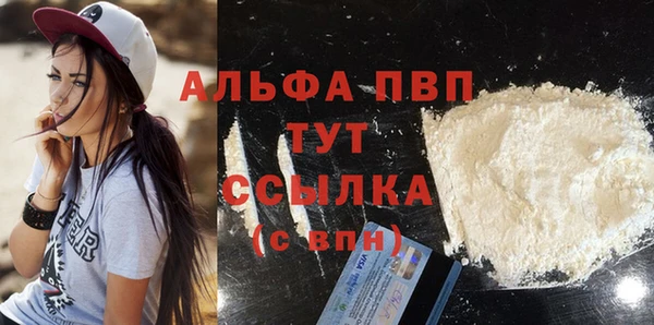 индика Абинск