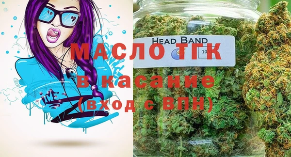 индика Абинск