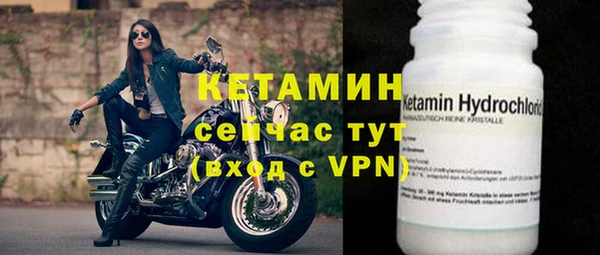 гидра Абаза