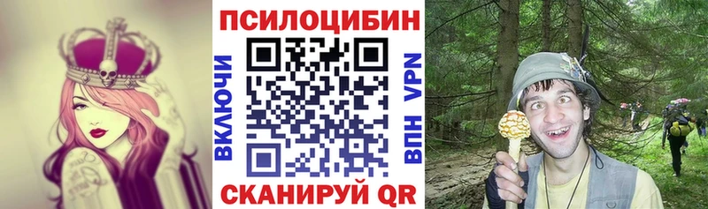 Галлюциногенные грибы Psilocybe Рязань